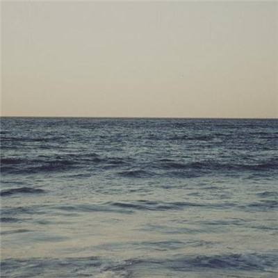 365体育手机版入口